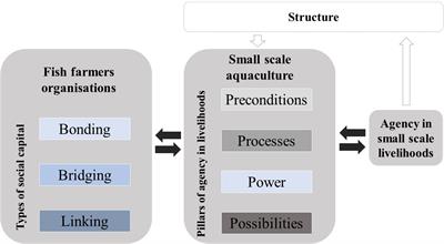 Social capital strengthens agency among fish farmers: Small scale aquaculture in Bulacan, Philippines